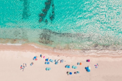 Picture of UMBRELLAS