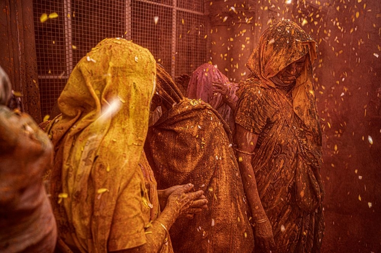 Picture of WIDOWS HOLI - VRINDAVAN-15