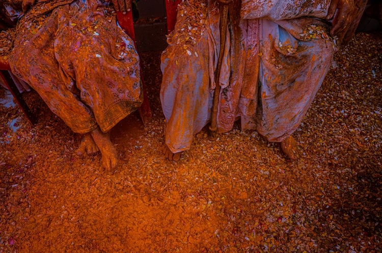 Picture of WIDOWS HOLI - VRINDAVAN-19