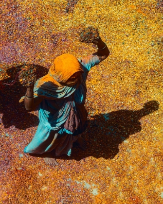 Picture of WIDOWS HOLI - VRINDAVAN-24