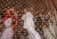 Picture of WIDOWS HOLI - VRINDAVAN-26