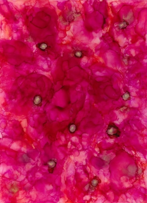 Picture of BLOOMS IN PINK