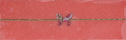 Picture of CARNATION-1
