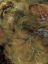 Picture of CENOTE-WARM-R1