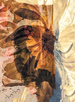 Picture of FLOWERY PORTRAIT