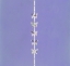 Picture of HIBISCUS-2LV