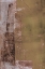 Picture of LARIAT-1
