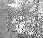 Picture of MESH-NBWL