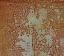 Picture of MESH-NOL
