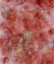 Picture of OCEAN-MRL