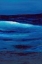 Picture of OUT TO SEA-2