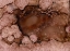 Picture of POOLS-SIENNA
