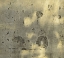 Picture of RELIC-1R2