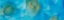 Picture of SEA JEWELS-1