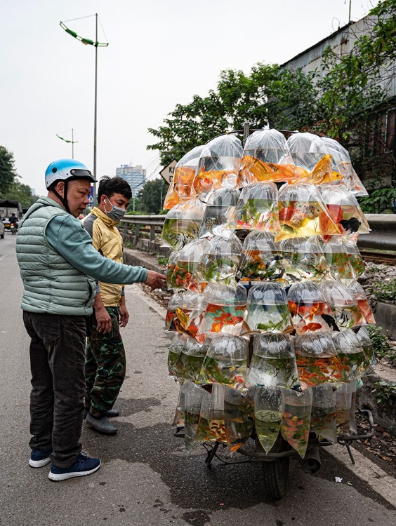 Picture of SELLING FISH ON THE STREETS OF HANOI