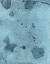 Picture of SOMETHING BLUE-4BR