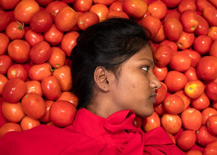 Picture of TOMATINO PORTRAIT