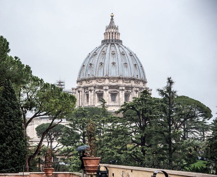 Picture of VATICAN MUSEUM