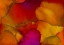 Picture of WARM PUFFS