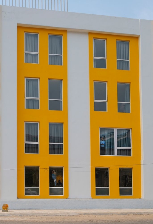 Picture of YELLOW WINDOWS