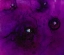 Picture of BLOOMS IN AMETHYST-L-L1