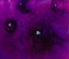 Picture of BLOOMS IN AMETHYST-L-R1