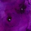 Picture of BLOOMS IN AMETHYST-R-R2