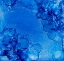 Picture of BUBBLES-CBL