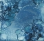 Picture of BUBBLES-GBR