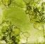 Picture of BUBBLES-MGL