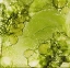 Picture of BUBBLES-MGR