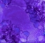 Picture of BUBBLES-PL