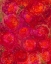 Picture of CANDY ROSES