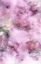 Picture of ENGLISH GARDEN-R3