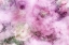 Picture of ENGLISH GARDEN-R7