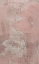 Picture of EUROPA-A9