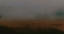 Picture of HORIZONS-1L2