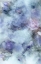 Picture of HYDRANGEA-4BPL
