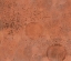 Picture of MARKET-ORL1