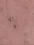 Picture of PROSECO-ML