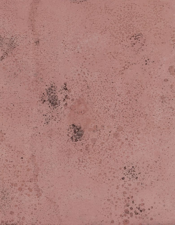Picture of PROSECO-ML
