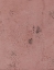 Picture of PROSECO-MR