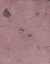 Picture of PROSECO-R