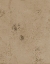 Picture of PROSECO-SML