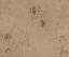 Picture of PROSECO-SML1