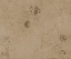 Picture of PROSECO-SMR1