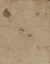 Picture of PROSECO-SR