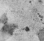 Picture of SALTED-2L