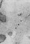 Picture of SALTED-RR1