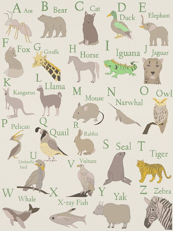 Picture of ANIMAL ALPHABET II